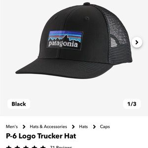 Patagonia Black Trucker Hat